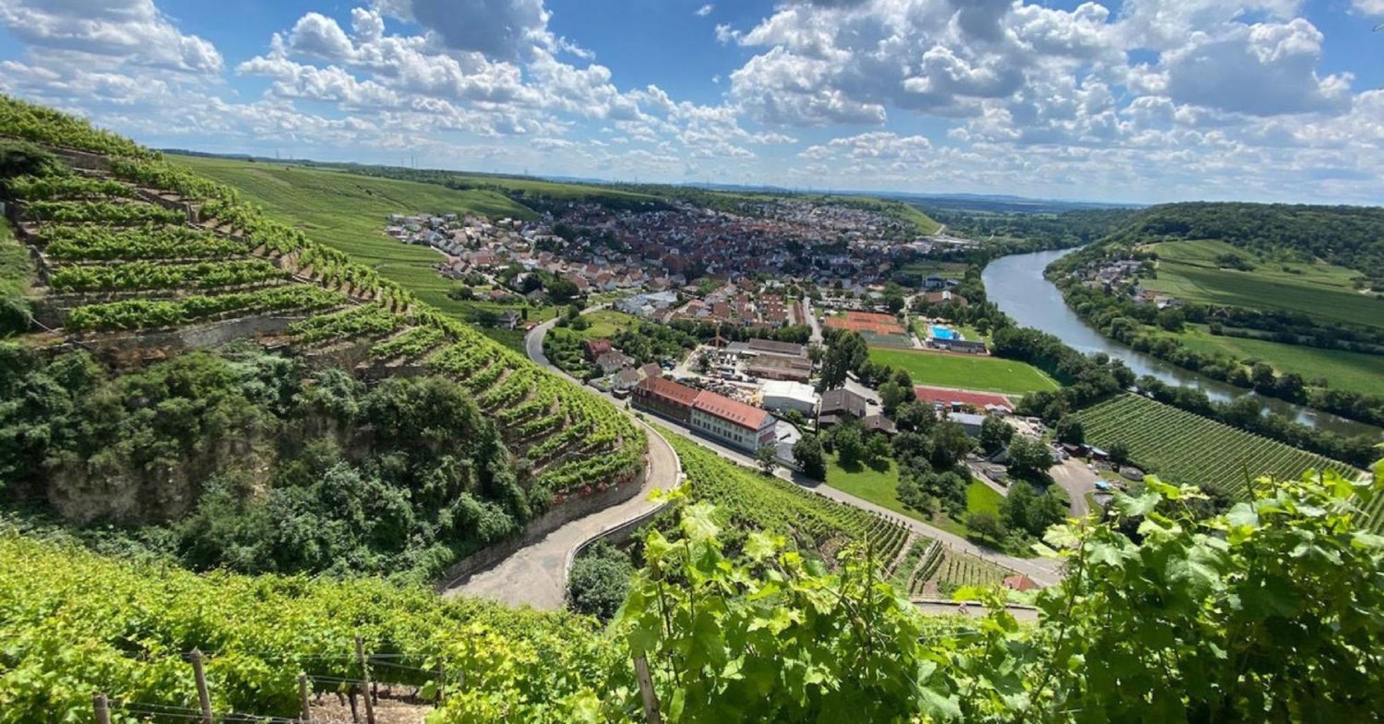 Bed and Breakfast Sleep And Go Mundelsheim Exterior foto